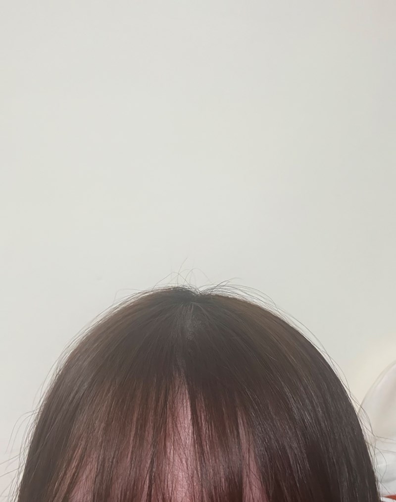 試用